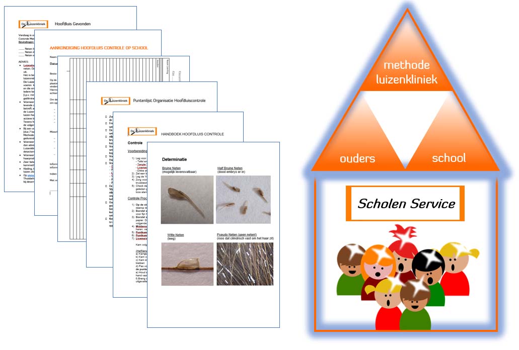 Practical Head Lice School Service Package